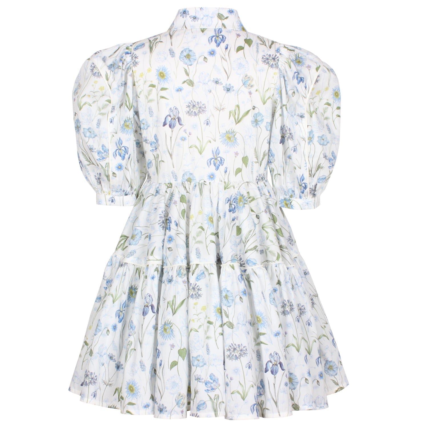 Glistening Dress Blue Meadow