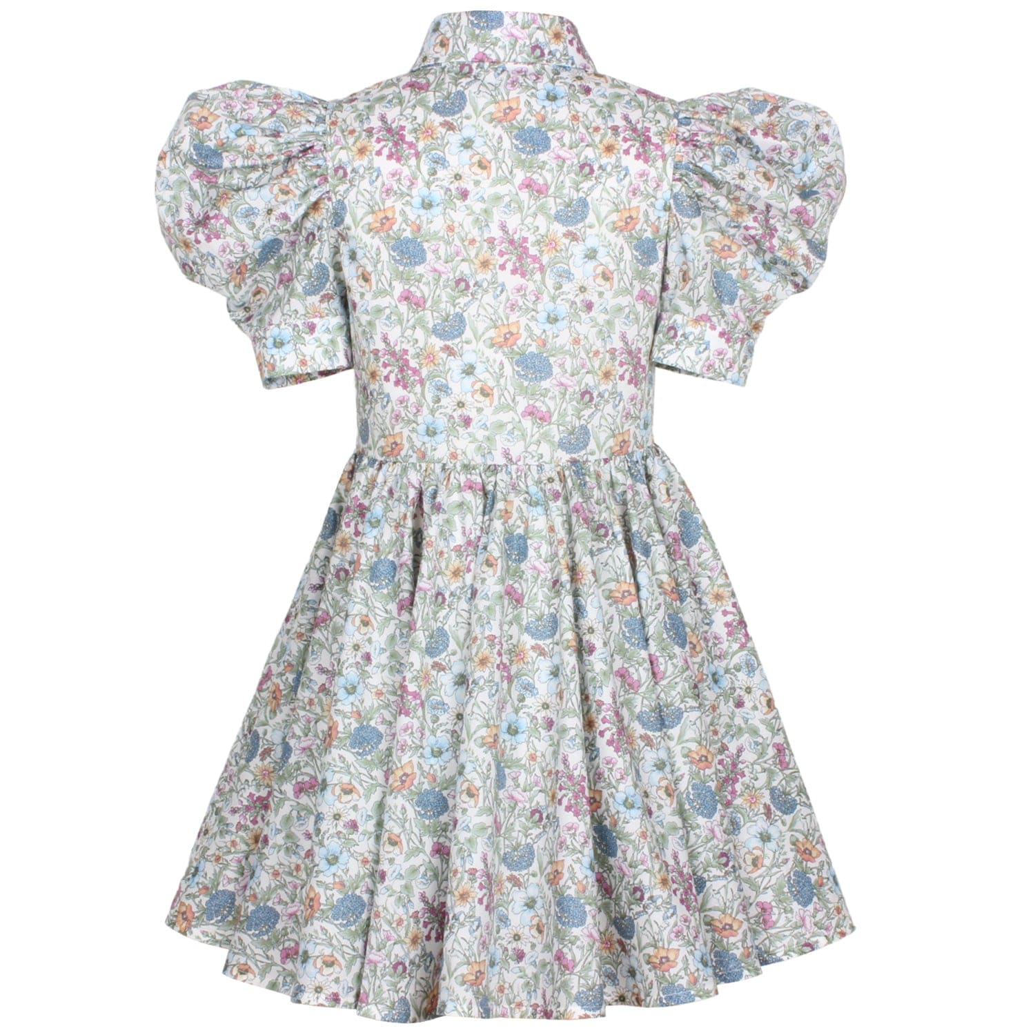 Carousel Dress Heritage Garden