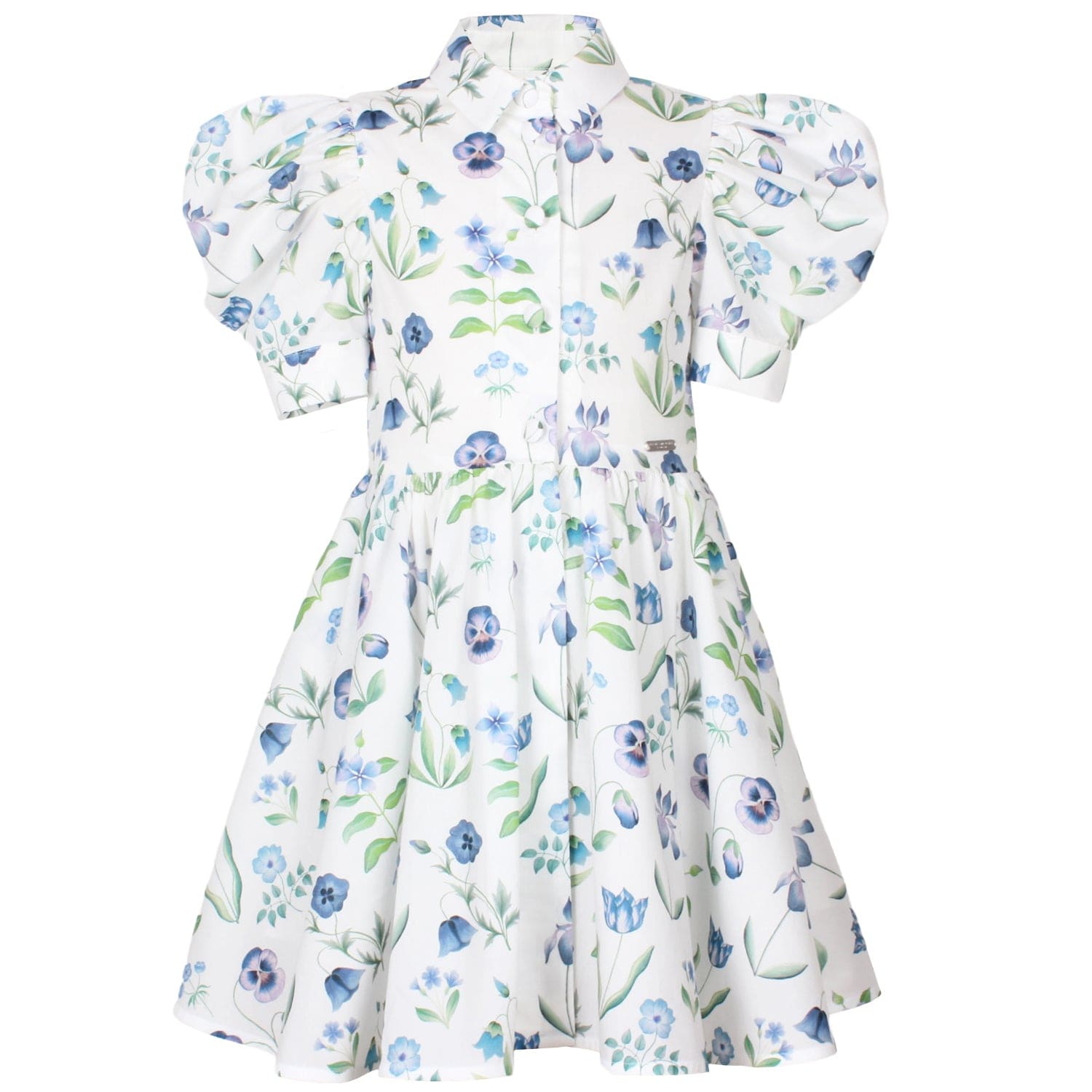Carousel Dress Majesty Liberty Floral