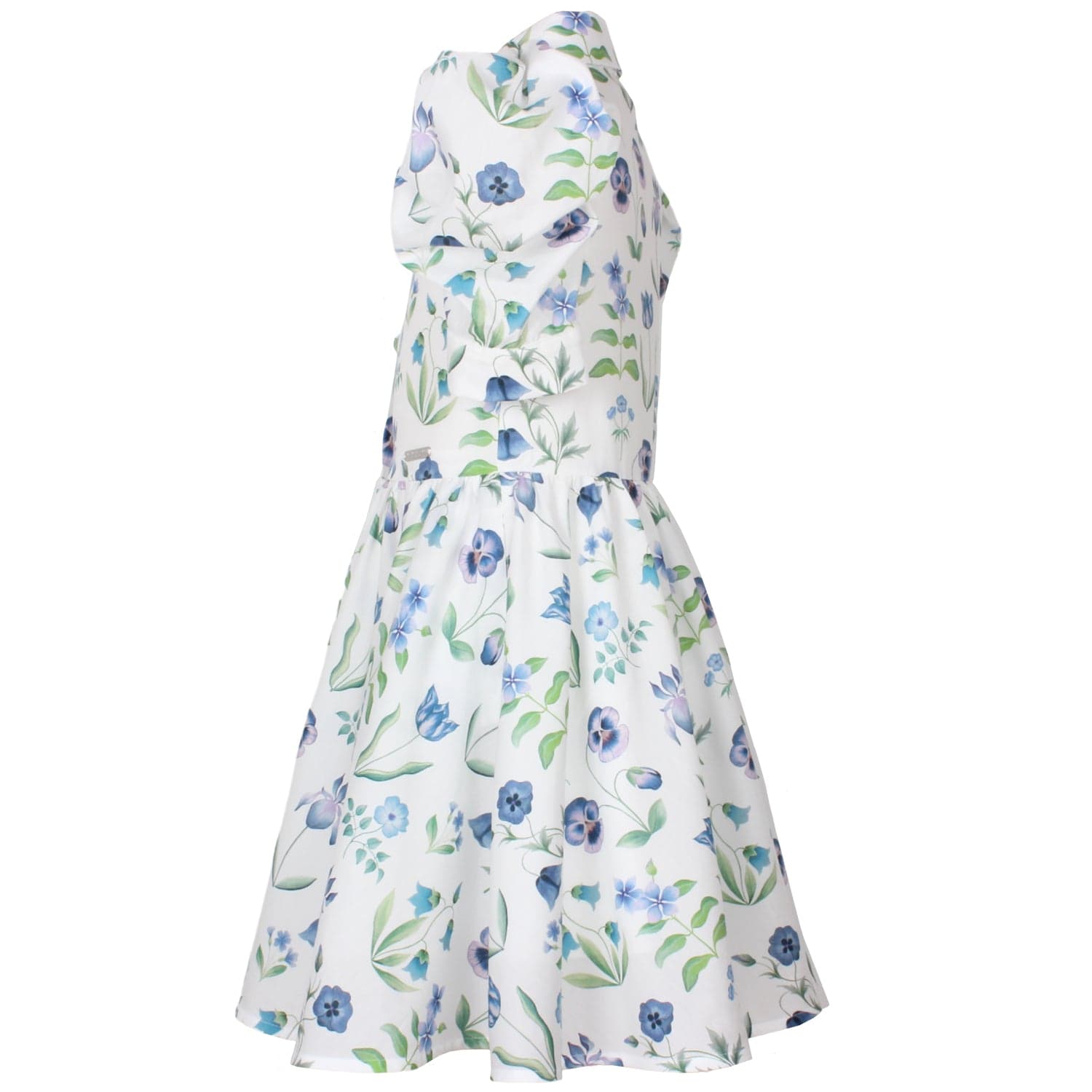 Carousel Dress Majesty Liberty Floral