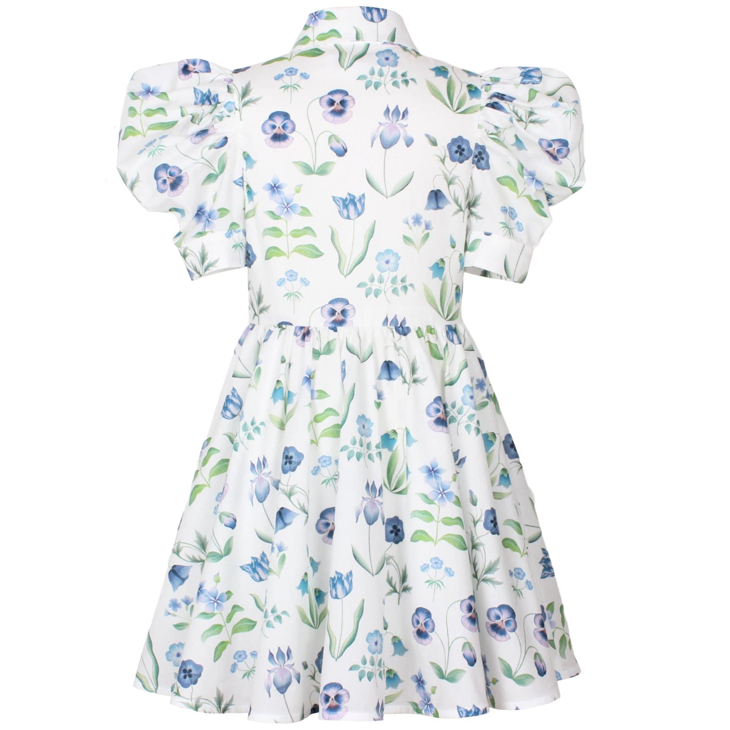 Carousel Dress Majesty Liberty Floral