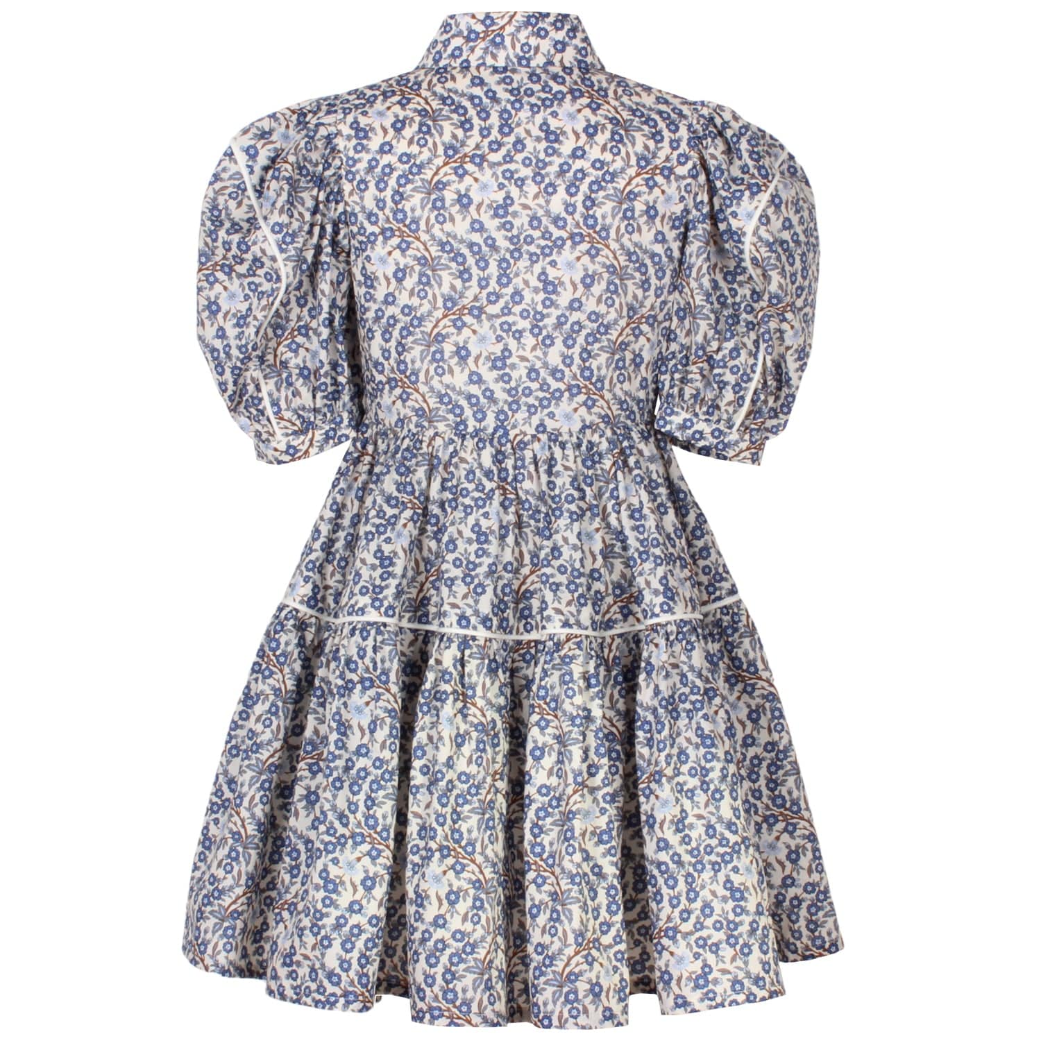 Glistening Dress Ditsy Blue Flower