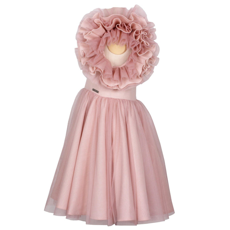 Tiffany Dress Soft Pink Tulle